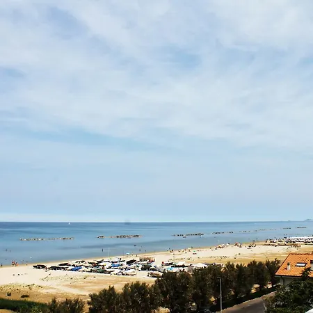 Dei Galli